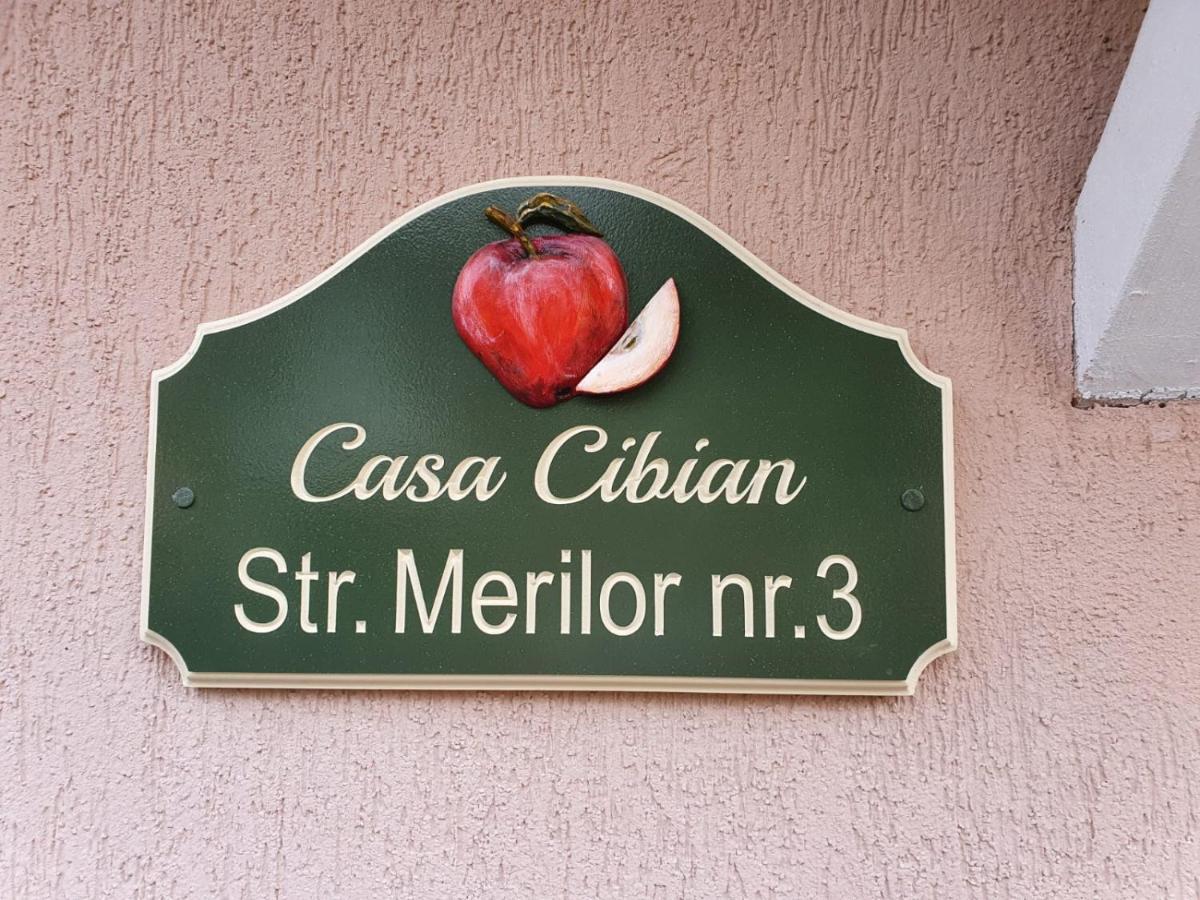 Casa Cibian Apartment Brasov Exterior photo